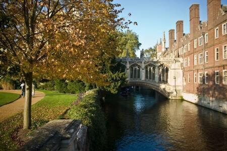 Quaint 2 Bed Cottage In The Heart Of Cambridge Экстерьер фото